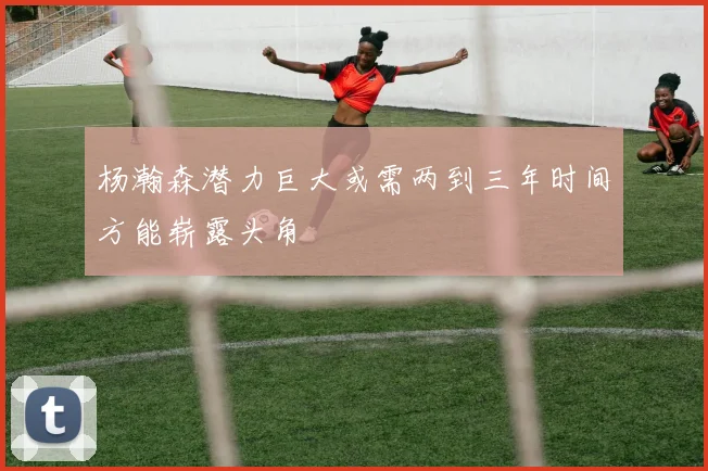 杨瀚森潜力巨大或需两到三年时间方能崭露头角